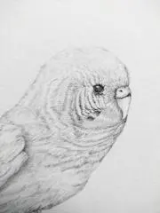 最終値下げ】IPI Qi Pro 8K Wireless - メルカリ