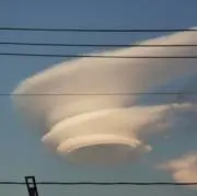 べびびの画像