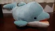 青イルカ