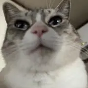のっち☆