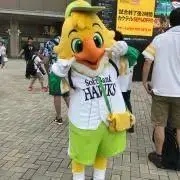 みき