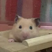 mi