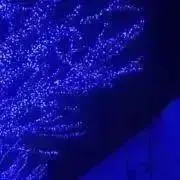 kの画像