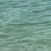 みちおの画像
