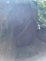 ✳︎コウボウ✳︎アイルの画像