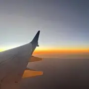 ちょこの画像