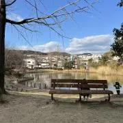TAMの画像