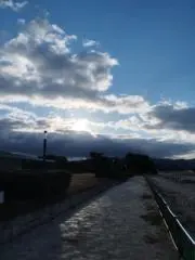 sionの画像