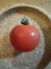 トマトの画像