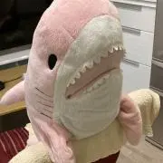 いみての画像