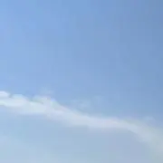 こま　コメント無し即購入OK！即日発送！の画像