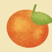 夏みかんの画像