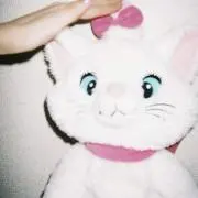 ニャン^ᴖ◦ᴖ^の画像
