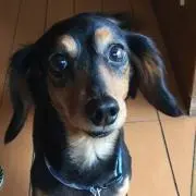 ケン