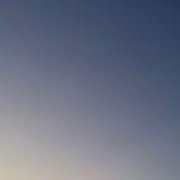 たこの画像