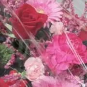 Image of MAY.co
