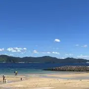 mimiの画像