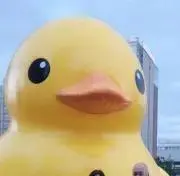 7/16〜7/21発送不可　おのうえの画像