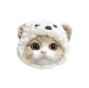 ★ (18日以降発送)の画像