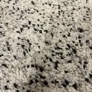 ハローハローの画像