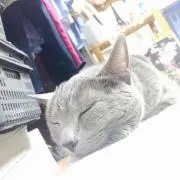 お気持ち君