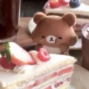 くまの画像