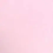 のちゃの画像