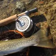 ORVISブランク使用 Fox Fire 8'0” #4 4pc フライロッド - メルカリ