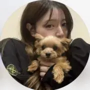 Ｎの画像
