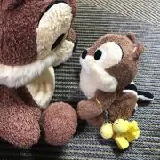 ちゃーずの画像
