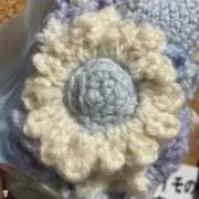 ピコリンの画像