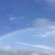 サリーの画像