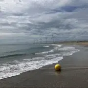 めぐろうの画像