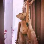 ひめもんす☆