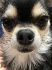 もぐりんの画像
