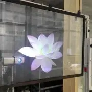 nの画像