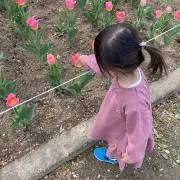 ぺろの画像