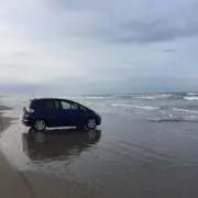 GOM