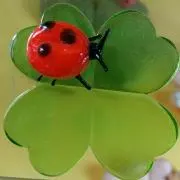 あん