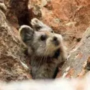 あっぴー※プロフ必読の画像