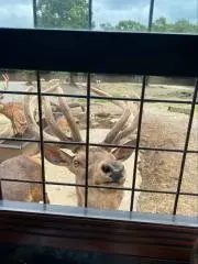 あさぴ