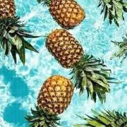プロフィール必読！ aloha.325