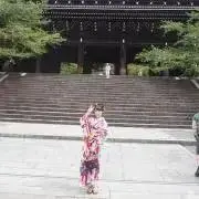 春茶