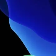 空条承太郎の画像