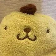 Sammyの画像