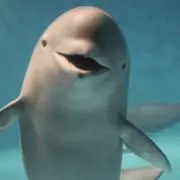 kyyの画像