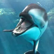 そらの画像