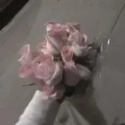 Rの画像