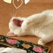 たや