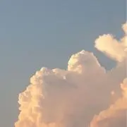 るるの画像